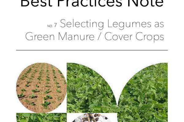 bpn-7-selecting-legumes-as-green-manure-cover-crops-echocommunity