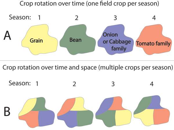 EDN145 figure 6