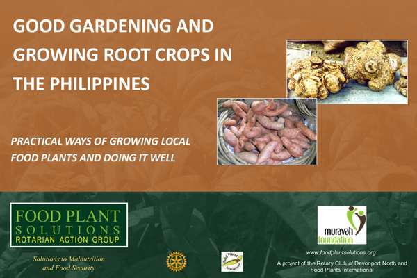 Good Gardening and Root Crops in the Philippines | ECHOcommunity.org