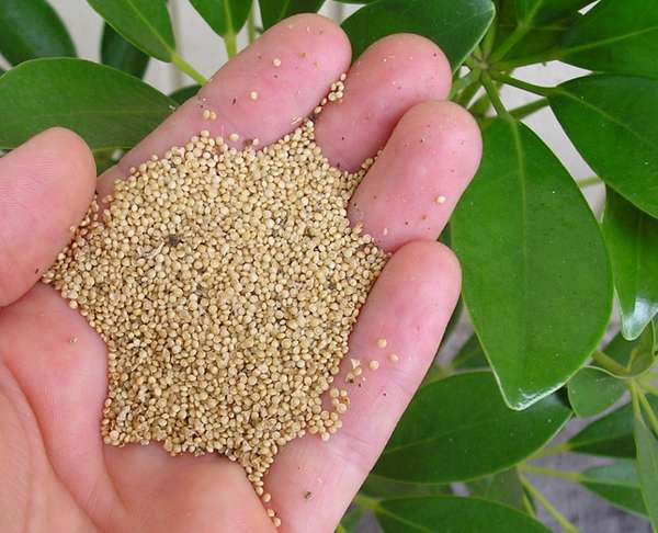 Seed Banking Training at ECHO North America!