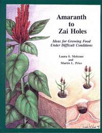 Amaranth to Zai Holes Cover