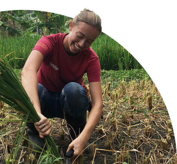 Early Bird Rate Extended to Feb 9th! Introduction to Tropical Agriculture Development Course