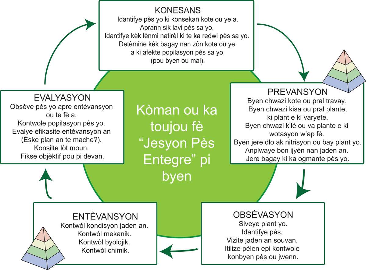 EDN145 IPM graphic hc