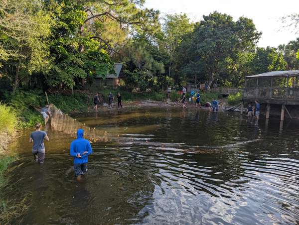 Lessons We’re Learning while Seining our Ponds