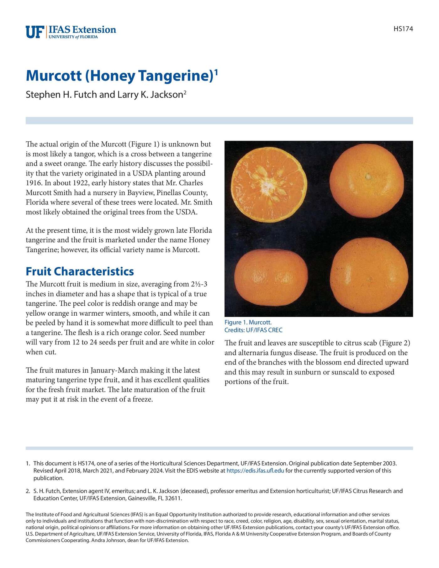 Murcott (Honey Tangerine) | ECHOcommunity.org