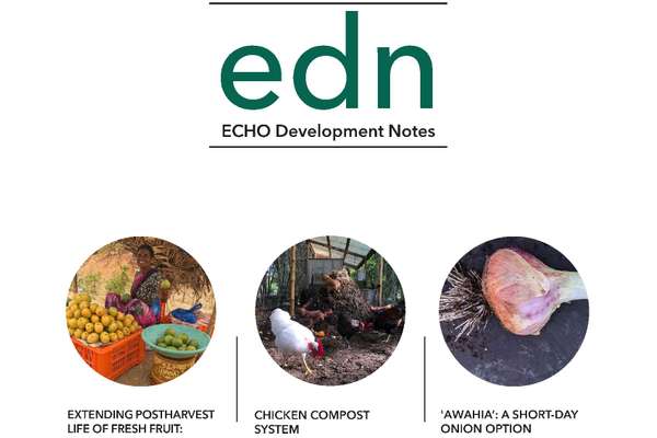 EDN Issue #156