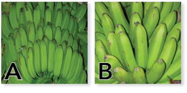 EDN154 Figure 6