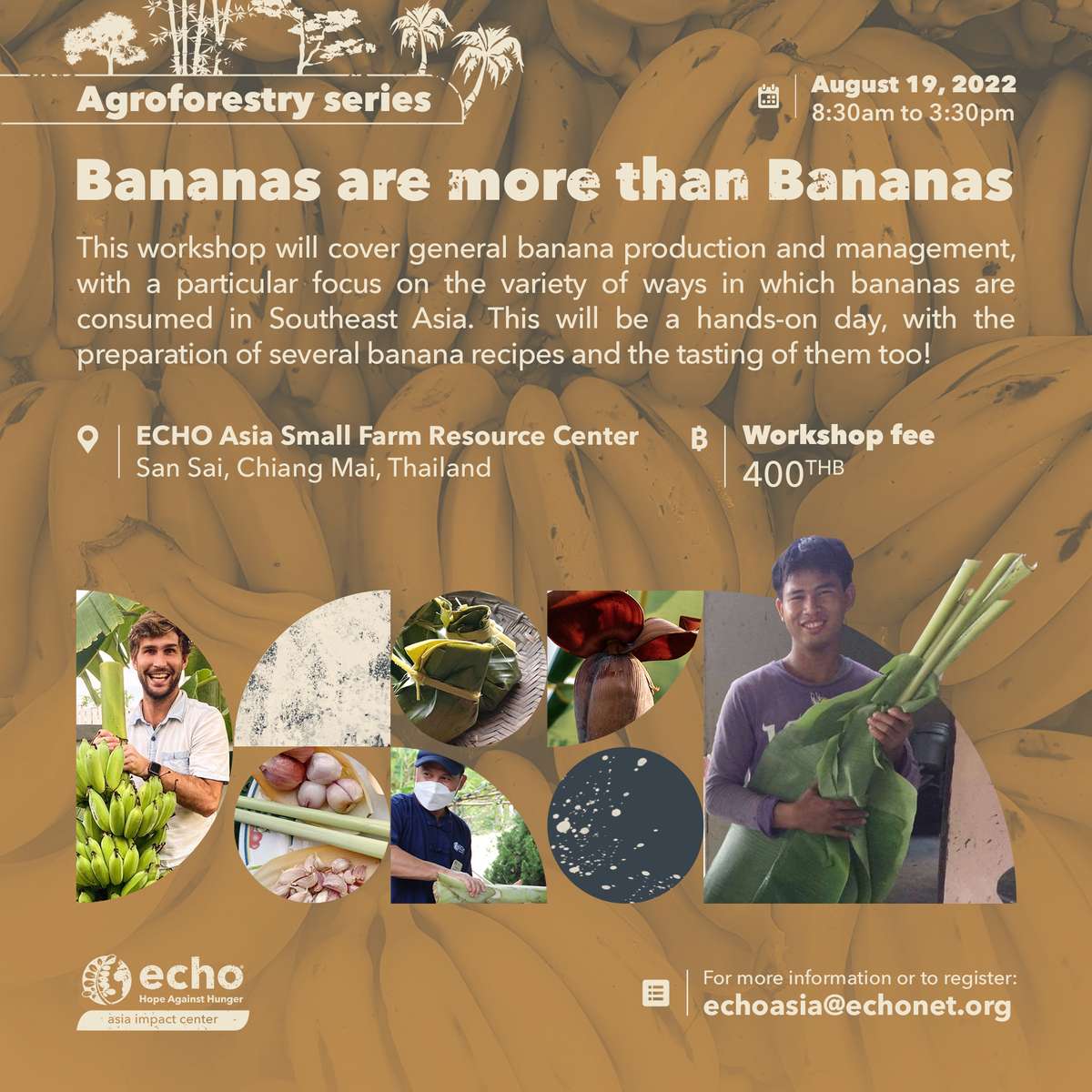 Agroforestry Series: Bananas Are More Than Bananas Workshop Flier