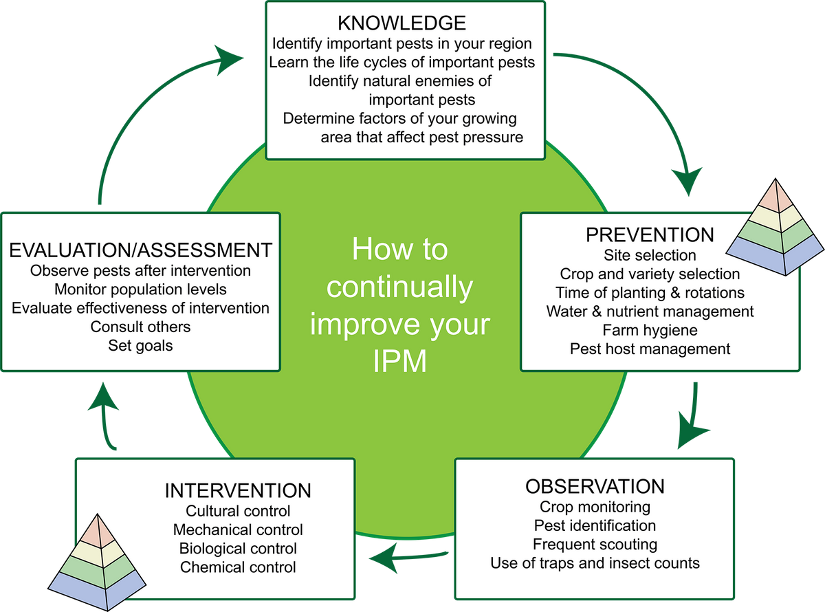 IPM Cycle