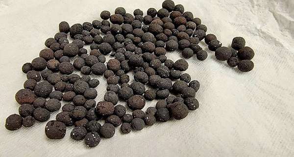 Research Update: Clay Beads for Drying and Preserving Seeds