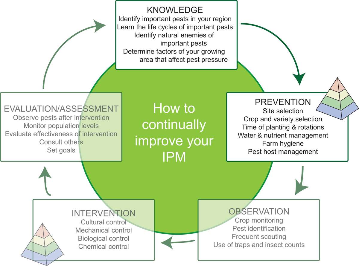 Pest Prevention: The Foundation of Integrated Pest Management |  ECHOcommunity.org