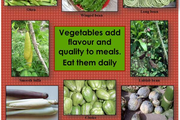Poster - Timor Leste - Vegetables You can Eat | ECHOcommunity.org