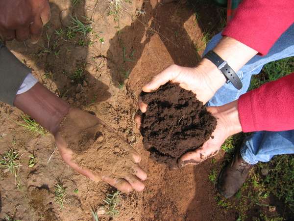 ECHO Asia Introduction to Soil Science