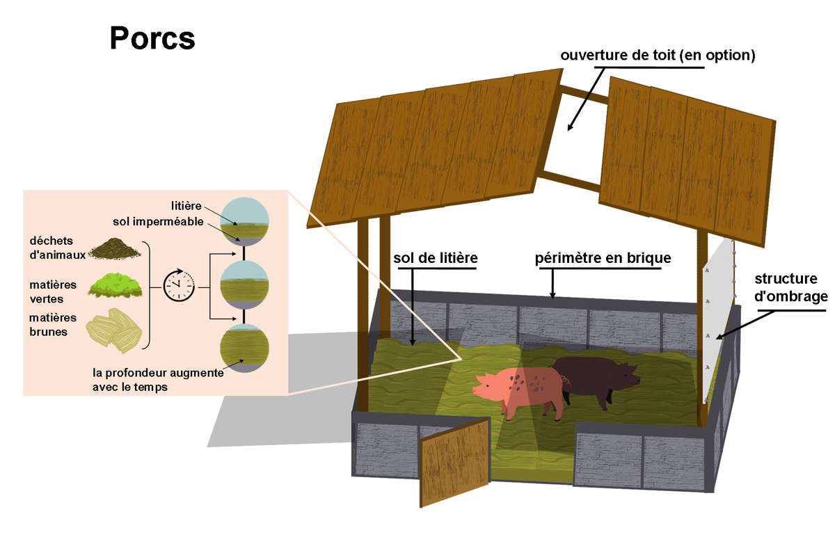 Systèmes de litière pour  la production animale - Les porcs