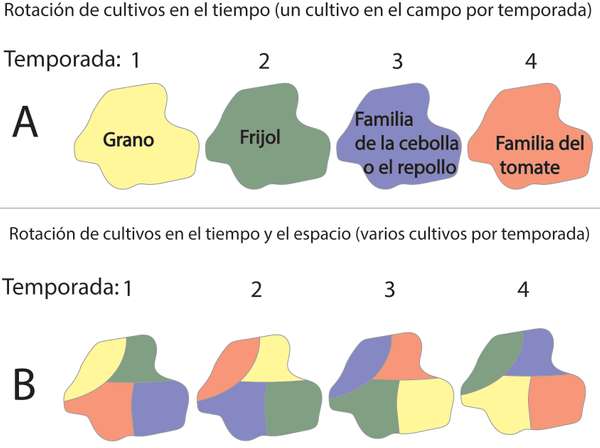 EDN145 figure 6 Esp