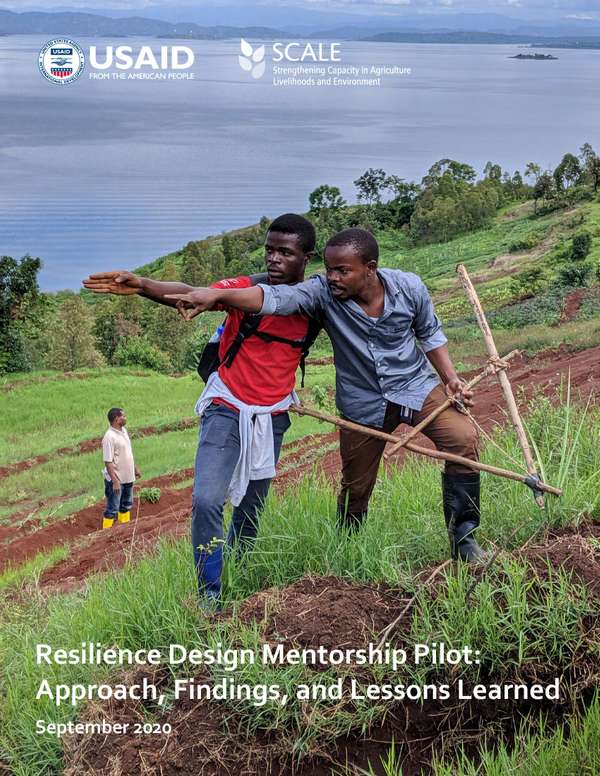 Resilience Design Mentorship Pilot: Approach, Findings, and Lessons ...
