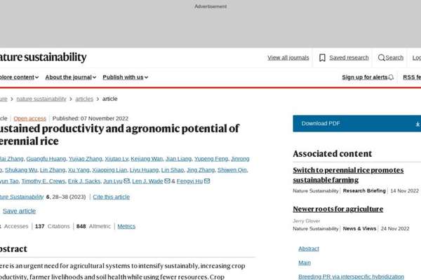 Sustained productivity and agronomic potential of perennial rice ...
