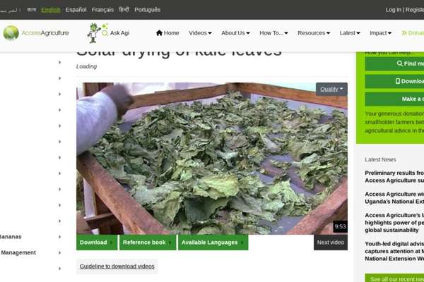 Solar Drying of Kale Leaves - Video | ECHOcommunity.org