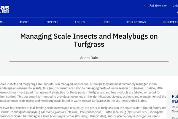 Managing Scale Insects and Mealybugs on Turfgrass | ECHOcommunity.org