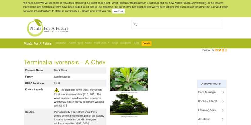 PFAF - Terminalia ivorensis - A.Chev. | ECHOcommunity.org